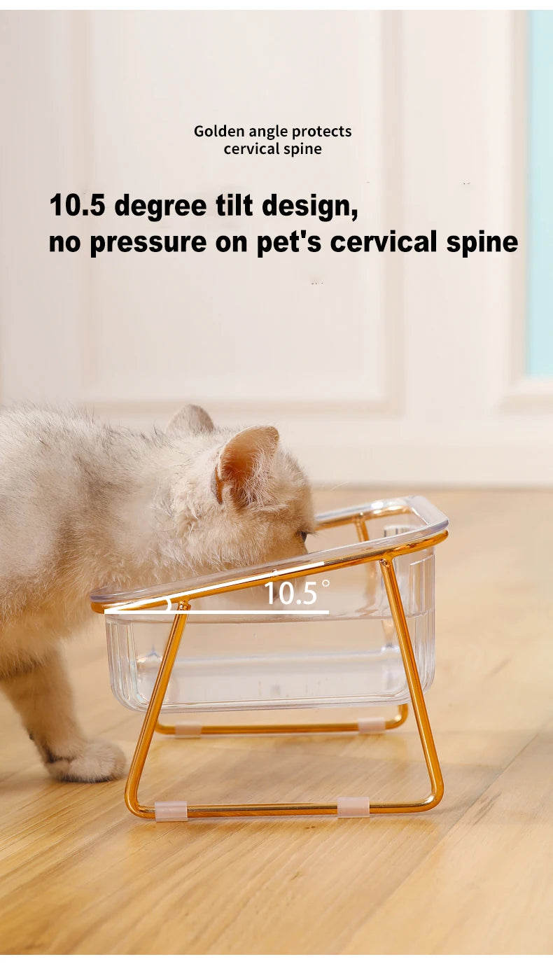 Elevated Double Cat Feeder with Transparent Bowls