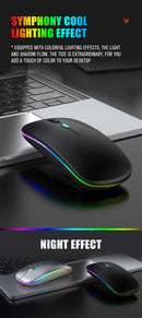 Dual Mode Wireless Mouse (BT + 2.4G)