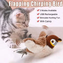 Toy Bird for Cats