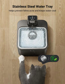 Rechargeable Pet Water Fountain