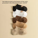 5 Pairs No-Show Socks (Bear)
