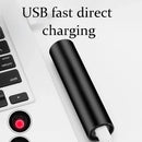 UV Flashlight for Pets (Blacklight)