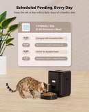 Smart Automatic Pet Feeder with Wi-Fi