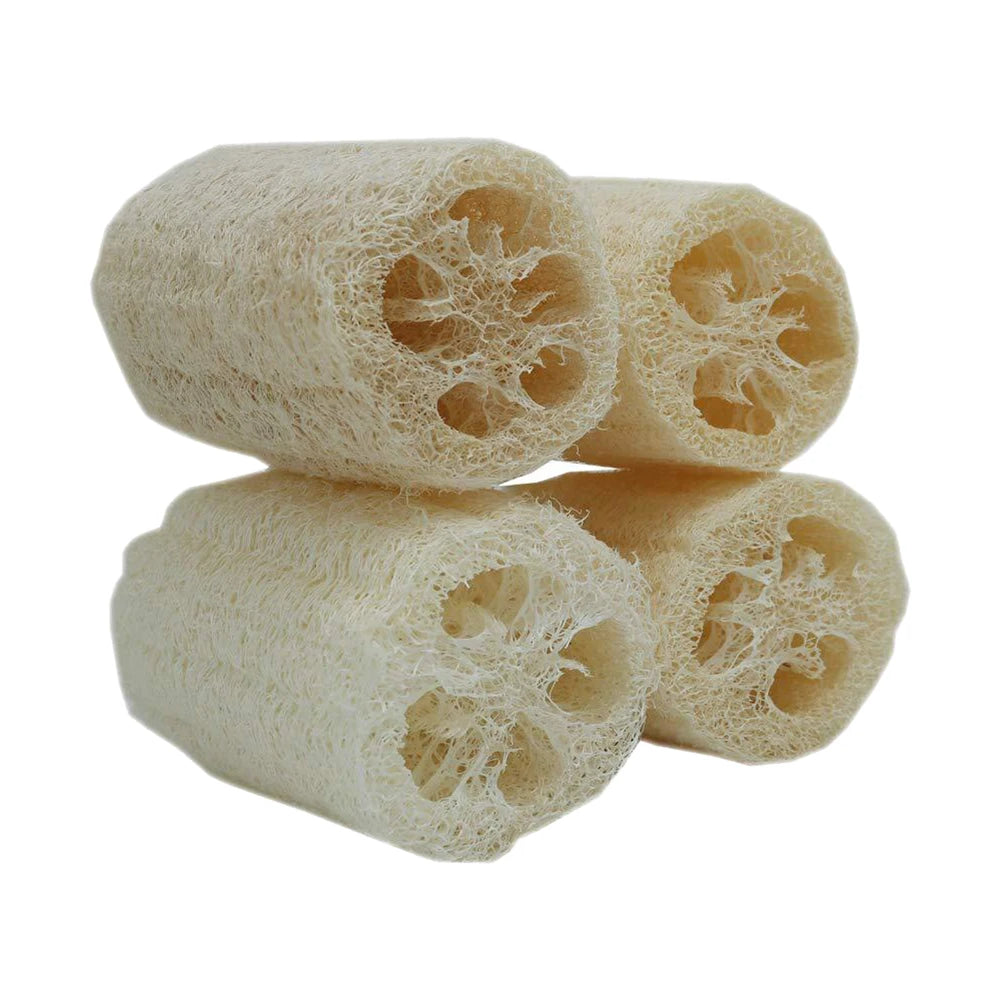 Esponja Vegetal Natural para Banho