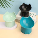 Elevated Cat Feeding Bowl