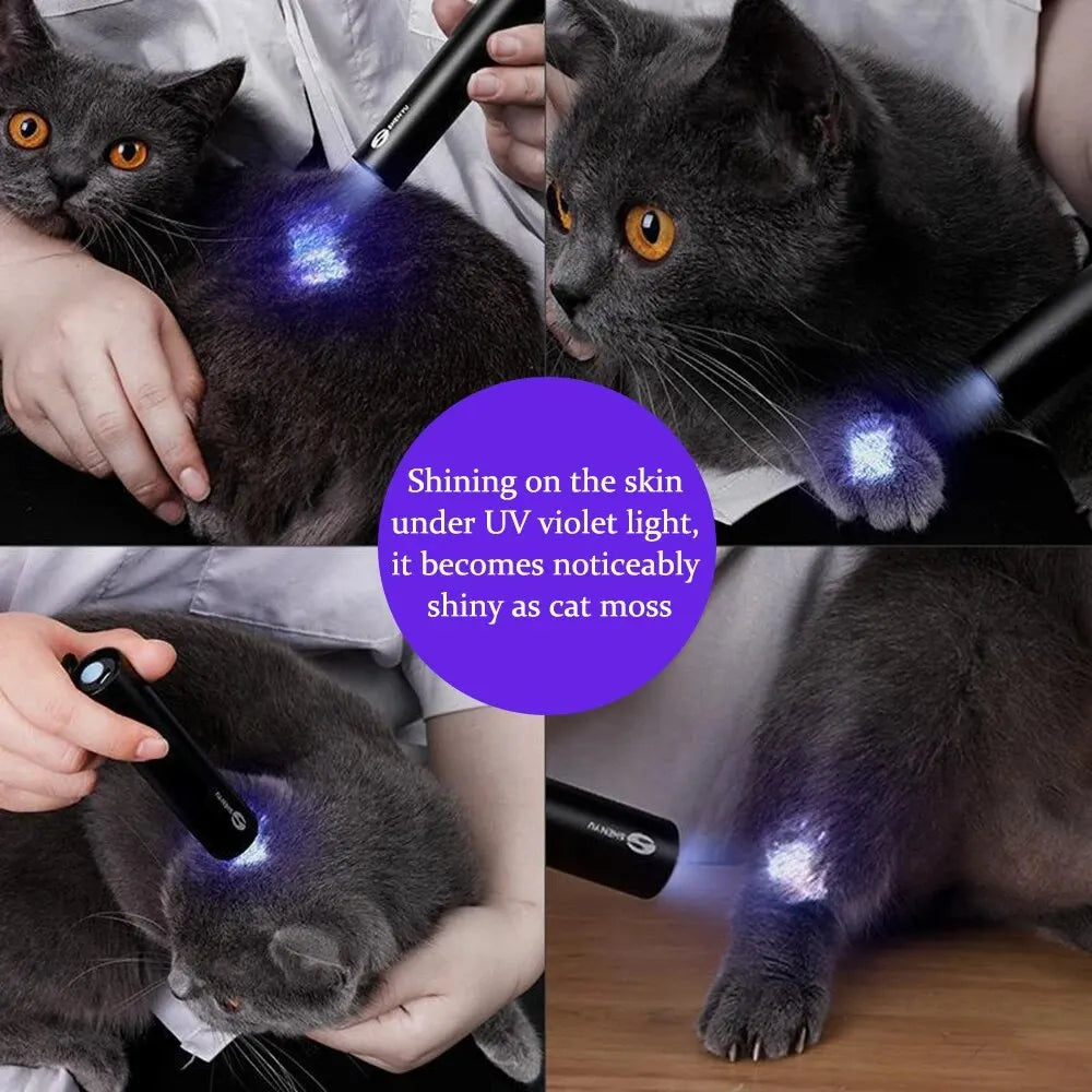 UV Flashlight for Pets (Blacklight)