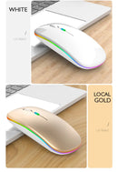 Dual Mode Wireless Mouse (BT + 2.4G)