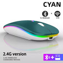 Dual Mode Wireless Mouse (BT + 2.4G)