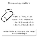 5 Pairs No-Show Socks (Bear)