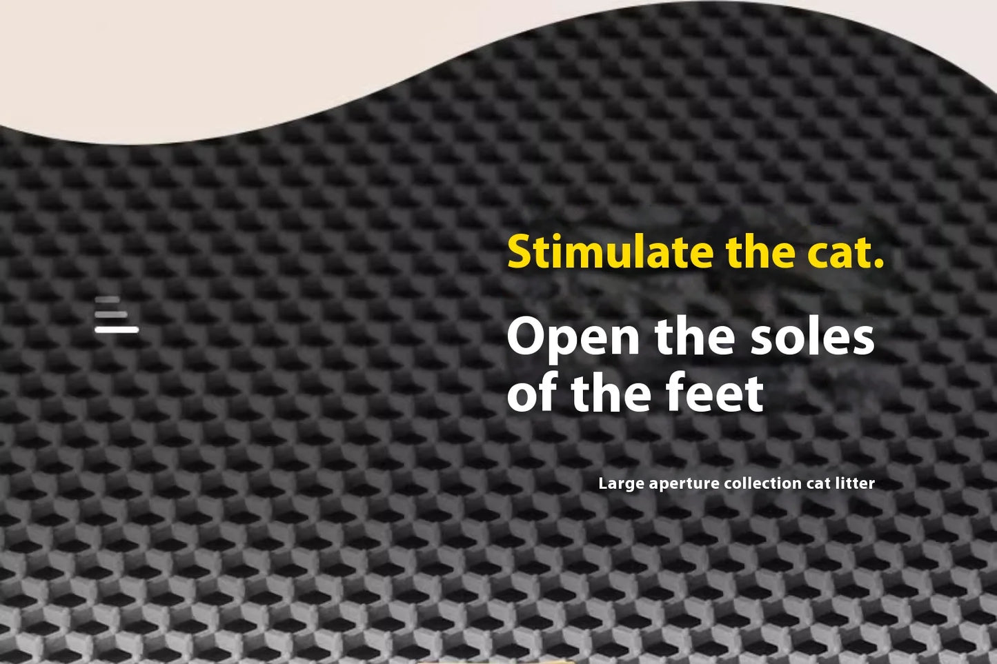 Double-Layer Cat Litter Mat