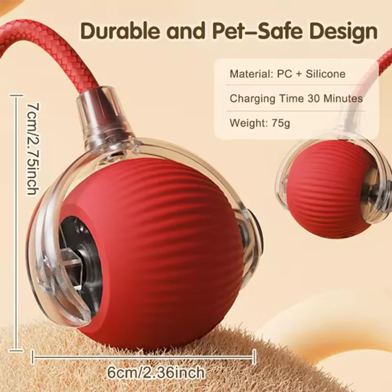 Interactive Toy for Cats