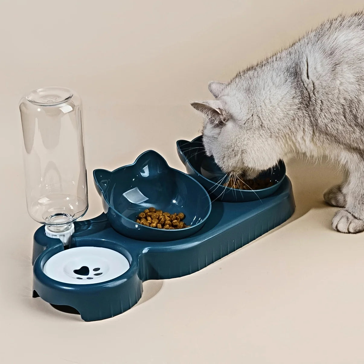Automatic Pet Feeder with Water Dispenser