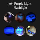 UV Flashlight for Pets (Blacklight)