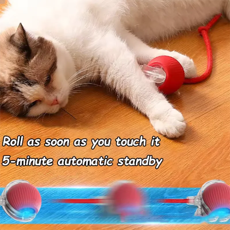 Interactive Toy for Cats