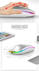 Dual Mode Wireless Mouse (BT + 2.4G)