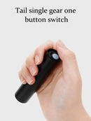 UV Flashlight for Pets (Blacklight)