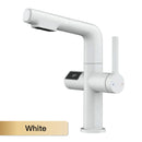 Torneira Gourmet de Cozinha com Visor de Temperatura