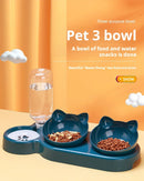 Automatic Pet Feeder with Water Dispenser