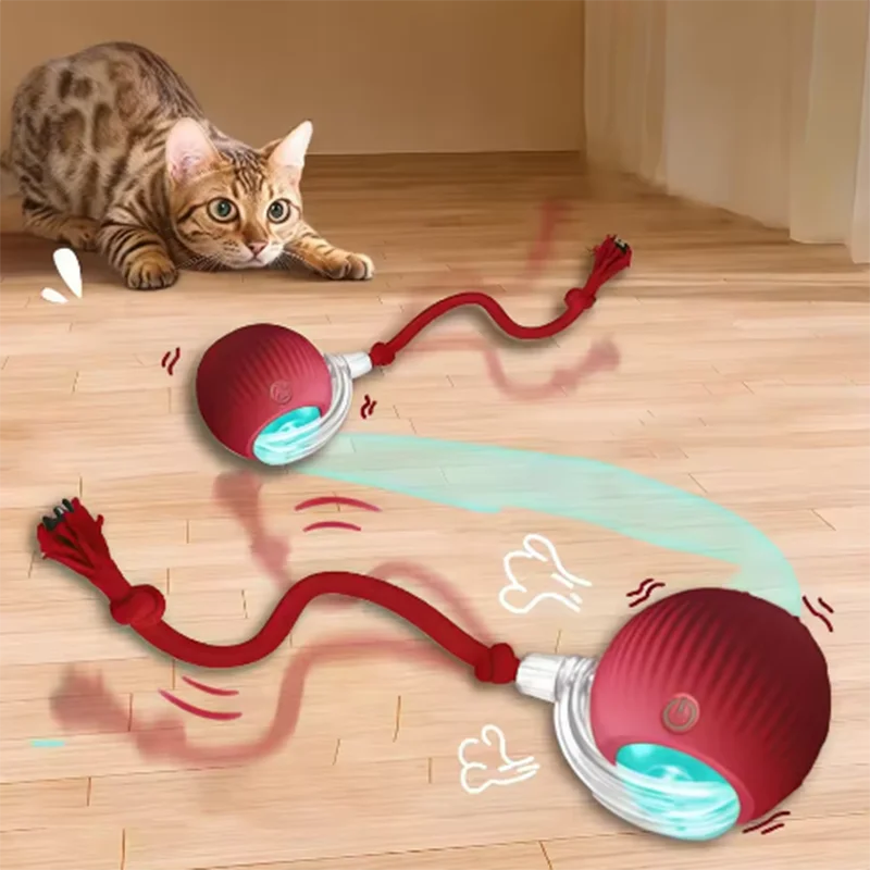 Interactive Toy for Cats