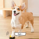Pet Communication Buttons (Recordable)