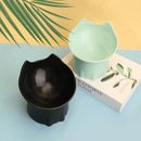 Elevated Cat Feeding Bowl