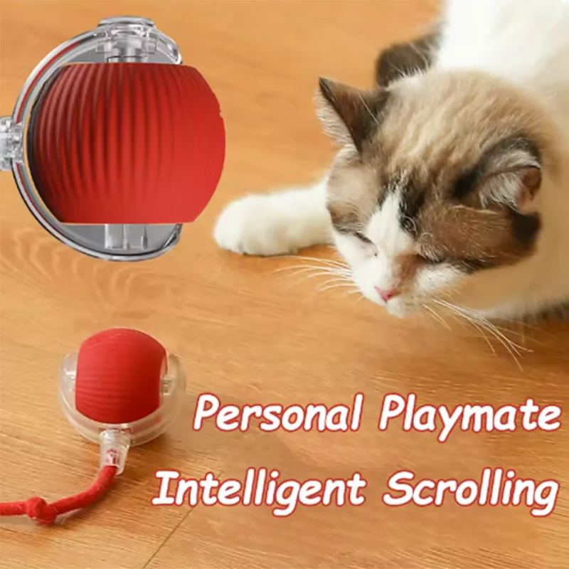 Interactive Toy for Cats