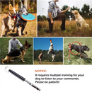 Ultrasonic Dog Training Whistle