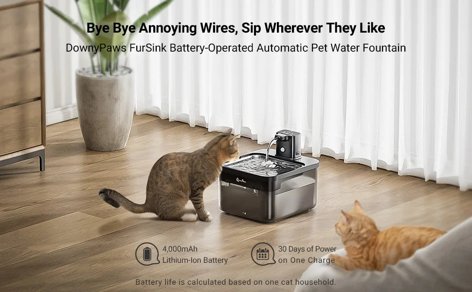 Rechargeable Pet Water Fountain
