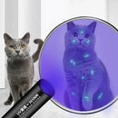 UV Flashlight for Pets (Blacklight)
