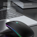 Dual Mode Wireless Mouse (BT + 2.4G)