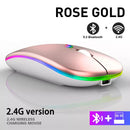 Dual Mode Wireless Mouse (BT + 2.4G)