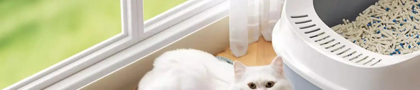 Double-Layer Cat Litter Mat