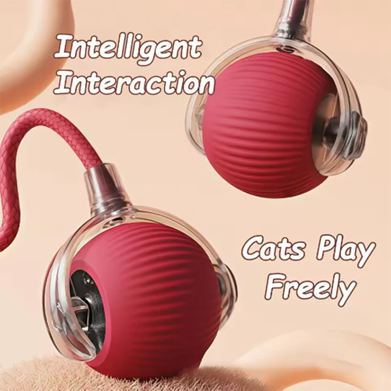 Interactive Toy for Cats