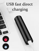 UV Flashlight for Pets (Blacklight)