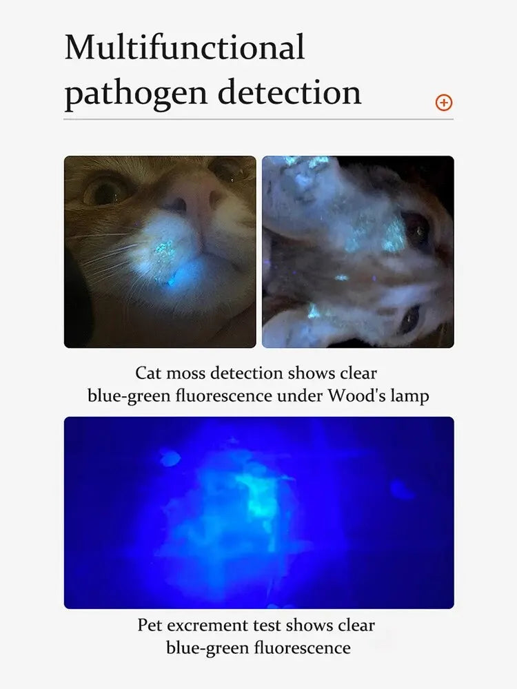 UV Flashlight for Pets (Blacklight)